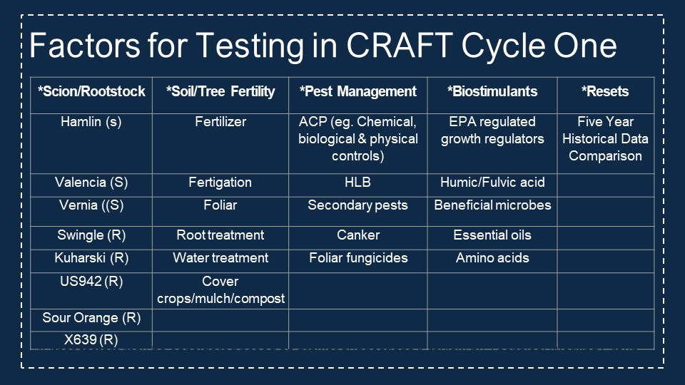 Factors for Testing - Cycle One